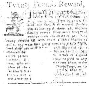 Jun 1 - South Carolina Gazette Supplement Slavery 5