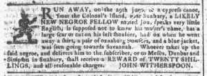 Jul 8 - Georgia Gazette Slavery 1