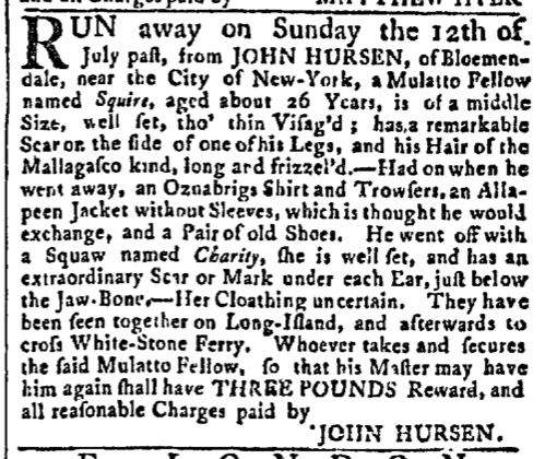 Aug 3 - New-York Gazette Slavery 4