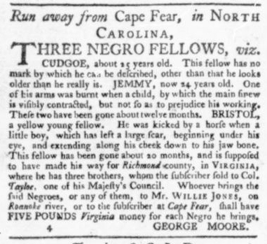 Jul 30 - Virginia Gazette Slavery 6