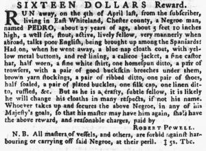 May 31 - Pennsylvania Gazette Supplement Slavery 3