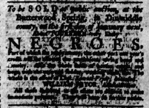 Nov 2 - Virginia Gazette Rind Slavery 2