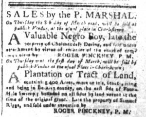 Feb 23 1770 - South-Carolina and American General Gazette Slavery 10