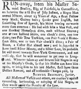 Aug 20 1770 - New-York Gazette and Weekly Mercury Slavery 2